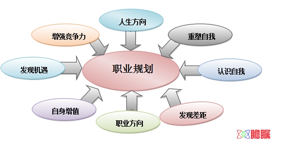 2016会展艺术与技术专业大学生职业生涯规划书